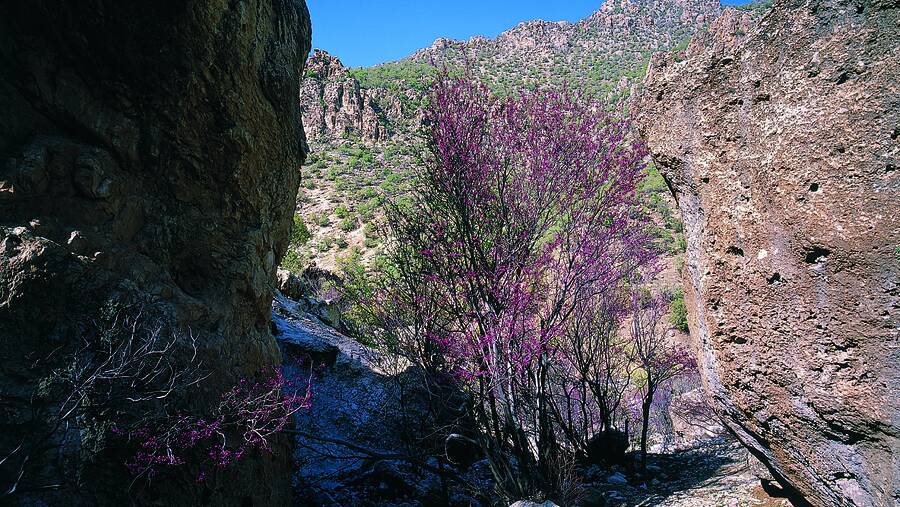 Arghavan Valley